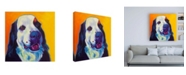 Trademark Global DawgArt Bernese Mountain Dog Zeke 2 Canvas Art - 15.5" x 21"